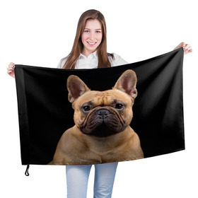 Флаг 3D с принтом Французский бульдог в Белгороде, 100% полиэстер | плотность ткани — 95 г/м2, размер — 67 х 109 см. Принт наносится с одной стороны | животное | порода | собака | французский бульдог