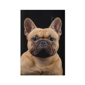 Обложка для паспорта матовая кожа с принтом Французский бульдог в Белгороде, натуральная матовая кожа | размер 19,3 х 13,7 см; прозрачные пластиковые крепления | животное | порода | собака | французский бульдог