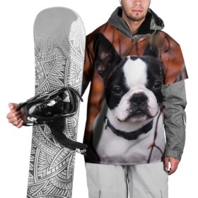 Накидка на куртку 3D с принтом Бостон Терьер в Белгороде, 100% полиэстер |  | Тематика изображения на принте: животное | порода | собака | французский бульдог