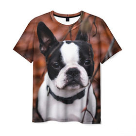 Мужская футболка 3D с принтом Бостон Терьер в Белгороде, 100% полиэфир | прямой крой, круглый вырез горловины, длина до линии бедер | животное | порода | собака | французский бульдог