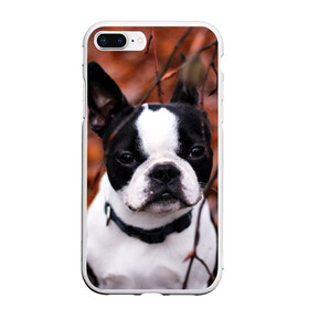 Чехол для iPhone 7Plus/8 Plus матовый с принтом Бостон Терьер в Белгороде, Силикон | Область печати: задняя сторона чехла, без боковых панелей | животное | порода | собака | французский бульдог