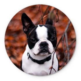 Коврик круглый с принтом Бостон Терьер в Белгороде, резина и полиэстер | круглая форма, изображение наносится на всю лицевую часть | животное | порода | собака | французский бульдог