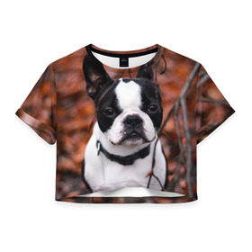 Женская футболка 3D укороченная с принтом Бостон Терьер в Белгороде, 100% полиэстер | круглая горловина, длина футболки до линии талии, рукава с отворотами | Тематика изображения на принте: животное | порода | собака | французский бульдог