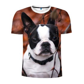 Мужская футболка 3D спортивная с принтом Бостон Терьер в Белгороде, 100% полиэстер с улучшенными характеристиками | приталенный силуэт, круглая горловина, широкие плечи, сужается к линии бедра | животное | порода | собака | французский бульдог