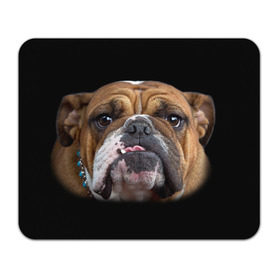 Коврик прямоугольный с принтом Французский бульдог в Белгороде, натуральный каучук | размер 230 х 185 мм; запечатка лицевой стороны | Тематика изображения на принте: животное | порода | собака | французский бульдог