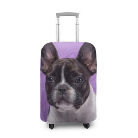 Чехол для чемодана 3D с принтом Французский бульдог в Белгороде, 86% полиэфир, 14% спандекс | двустороннее нанесение принта, прорези для ручек и колес | животное | порода | собака | французский бульдог