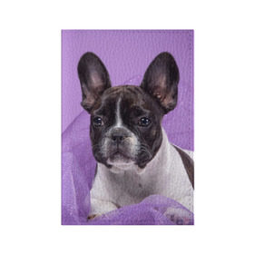 Обложка для паспорта матовая кожа с принтом Французский бульдог в Белгороде, натуральная матовая кожа | размер 19,3 х 13,7 см; прозрачные пластиковые крепления | Тематика изображения на принте: животное | порода | собака | французский бульдог