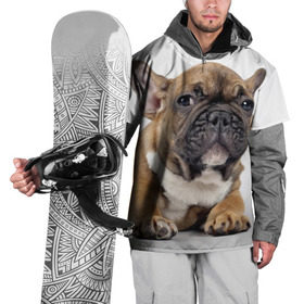 Накидка на куртку 3D с принтом Французский бульдог в Белгороде, 100% полиэстер |  | Тематика изображения на принте: животное | порода | собака | французский бульдог