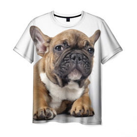 Мужская футболка 3D с принтом Французский бульдог в Белгороде, 100% полиэфир | прямой крой, круглый вырез горловины, длина до линии бедер | животное | порода | собака | французский бульдог