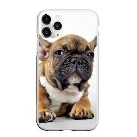 Чехол для iPhone 11 Pro матовый с принтом Французский бульдог в Белгороде, Силикон |  | Тематика изображения на принте: животное | порода | собака | французский бульдог