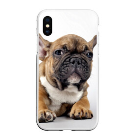 Чехол для iPhone XS Max матовый с принтом Французский бульдог в Белгороде, Силикон | Область печати: задняя сторона чехла, без боковых панелей | животное | порода | собака | французский бульдог