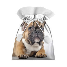 Подарочный 3D мешок с принтом Французский бульдог в Белгороде, 100% полиэстер | Размер: 29*39 см | животное | порода | собака | французский бульдог