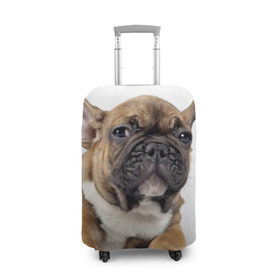Чехол для чемодана 3D с принтом Французский бульдог в Белгороде, 86% полиэфир, 14% спандекс | двустороннее нанесение принта, прорези для ручек и колес | животное | порода | собака | французский бульдог