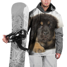 Накидка на куртку 3D с принтом Тибетский мастиф в Белгороде, 100% полиэстер |  | Тематика изображения на принте: животное | порода | собака