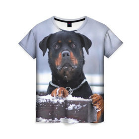 Женская футболка 3D с принтом Ротвейлер в Белгороде, 100% полиэфир ( синтетическое хлопкоподобное полотно) | прямой крой, круглый вырез горловины, длина до линии бедер | животное | порода | ротвейлер | собака