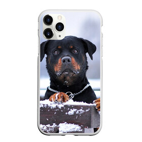 Чехол для iPhone 11 Pro Max матовый с принтом Ротвейлер в Белгороде, Силикон |  | животное | порода | ротвейлер | собака