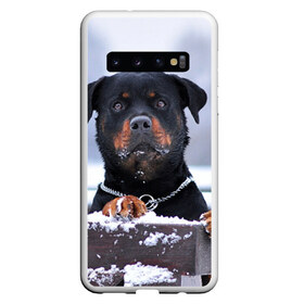 Чехол для Samsung Galaxy S10 с принтом Ротвейлер в Белгороде, Силикон | Область печати: задняя сторона чехла, без боковых панелей | животное | порода | ротвейлер | собака