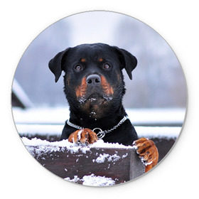 Коврик круглый с принтом Ротвейлер в Белгороде, резина и полиэстер | круглая форма, изображение наносится на всю лицевую часть | животное | порода | ротвейлер | собака