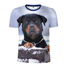 Мужская футболка 3D спортивная с принтом Ротвейлер в Белгороде, 100% полиэстер с улучшенными характеристиками | приталенный силуэт, круглая горловина, широкие плечи, сужается к линии бедра | Тематика изображения на принте: животное | порода | ротвейлер | собака
