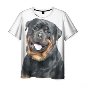 Мужская футболка 3D с принтом Ротвейлер в Белгороде, 100% полиэфир | прямой крой, круглый вырез горловины, длина до линии бедер | животное | порода | ротвейлер | собака