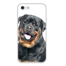 Чехол для iPhone 5/5S матовый с принтом Ротвейлер в Белгороде, Силикон | Область печати: задняя сторона чехла, без боковых панелей | животное | порода | ротвейлер | собака