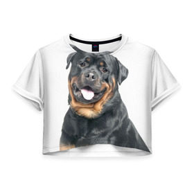 Женская футболка 3D укороченная с принтом Ротвейлер в Белгороде, 100% полиэстер | круглая горловина, длина футболки до линии талии, рукава с отворотами | животное | порода | ротвейлер | собака
