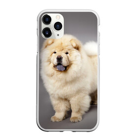 Чехол для iPhone 11 Pro матовый с принтом Чау-чау в Белгороде, Силикон |  | Тематика изображения на принте: животное | порода | собака | чау чау