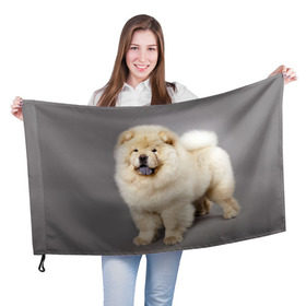 Флаг 3D с принтом Чау-чау в Белгороде, 100% полиэстер | плотность ткани — 95 г/м2, размер — 67 х 109 см. Принт наносится с одной стороны | животное | порода | собака | чау чау