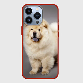 Чехол для iPhone 13 Pro с принтом Чау чау в Белгороде,  |  | Тематика изображения на принте: животное | порода | собака | чау чау