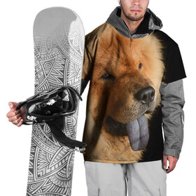 Накидка на куртку 3D с принтом Чау-чау в Белгороде, 100% полиэстер |  | Тематика изображения на принте: животное | порода | собака | чау чау