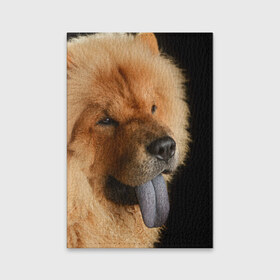 Обложка для паспорта матовая кожа с принтом Чау-чау в Белгороде, натуральная матовая кожа | размер 19,3 х 13,7 см; прозрачные пластиковые крепления | животное | порода | собака | чау чау