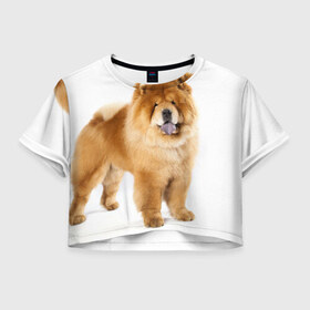 Женская футболка 3D укороченная с принтом Чау-чау в Белгороде, 100% полиэстер | круглая горловина, длина футболки до линии талии, рукава с отворотами | животное | порода | собака | чау чау