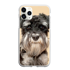 Чехол для iPhone 11 Pro матовый с принтом Цвергшнауцер в Белгороде, Силикон |  | Тематика изображения на принте: животное | порода | собака | цвергшнауцер
