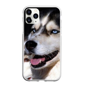 Чехол для iPhone 11 Pro матовый с принтом Хаски в Белгороде, Силикон |  | животное | порода | собака | хаски