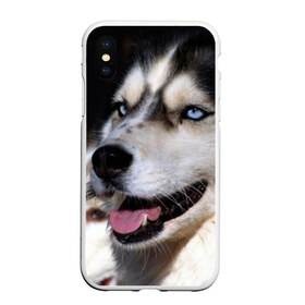 Чехол для iPhone XS Max матовый с принтом Хаски в Белгороде, Силикон | Область печати: задняя сторона чехла, без боковых панелей | Тематика изображения на принте: животное | порода | собака | хаски