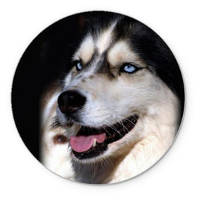 Коврик круглый с принтом Хаски в Белгороде, резина и полиэстер | круглая форма, изображение наносится на всю лицевую часть | животное | порода | собака | хаски