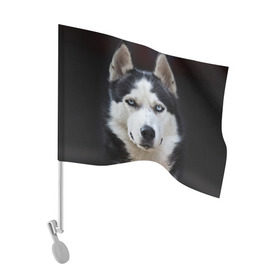 Флаг для автомобиля с принтом Хаски в Белгороде, 100% полиэстер | Размер: 30*21 см | бандит | животное | порода | собака | хаски | хаски бандит