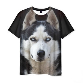 Мужская футболка 3D с принтом Хаски в Белгороде, 100% полиэфир | прямой крой, круглый вырез горловины, длина до линии бедер | Тематика изображения на принте: бандит | животное | порода | собака | хаски | хаски бандит