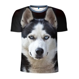 Мужская футболка 3D спортивная с принтом Хаски в Белгороде, 100% полиэстер с улучшенными характеристиками | приталенный силуэт, круглая горловина, широкие плечи, сужается к линии бедра | Тематика изображения на принте: бандит | животное | порода | собака | хаски | хаски бандит