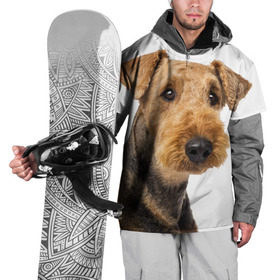 Накидка на куртку 3D с принтом Эрдельтерьер в Белгороде, 100% полиэстер |  | Тематика изображения на принте: животное | порода | собака | эрдельтерьер