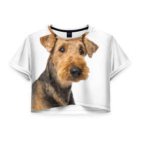 Женская футболка 3D укороченная с принтом Эрдельтерьер в Белгороде, 100% полиэстер | круглая горловина, длина футболки до линии талии, рукава с отворотами | животное | порода | собака | эрдельтерьер