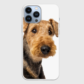 Чехол для iPhone 13 Pro Max с принтом Эрдельтерьер в Белгороде,  |  | Тематика изображения на принте: животное | порода | собака | эрдельтерьер