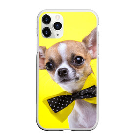 Чехол для iPhone 11 Pro матовый с принтом Чихуахуа в Белгороде, Силикон |  | животное | порода | собака | чихуахуа