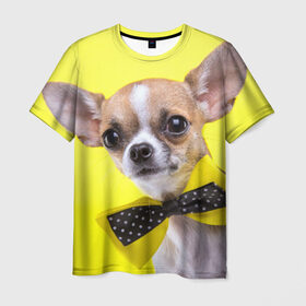 Мужская футболка 3D с принтом Чихуахуа в Белгороде, 100% полиэфир | прямой крой, круглый вырез горловины, длина до линии бедер | животное | порода | собака | чихуахуа