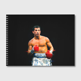 Альбом для рисования с принтом Артуро Гатти в Белгороде, 100% бумага
 | матовая бумага, плотность 200 мг. | boxing | артур гатти | артуро | артуро гатти | бокс | боксер | гатти | спорт