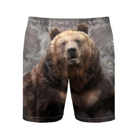 Мужские шорты 3D спортивные с принтом Русский медведь в Белгороде,  |  | медведь | россия | русский | русский медведь