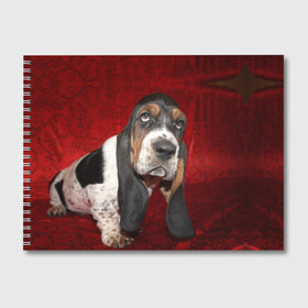 Альбом для рисования с принтом Бассет-хаунд в Белгороде, 100% бумага
 | матовая бумага, плотность 200 мг. | бархат | бассет хаунд | взгляд | домашнее | животное | порода | собака | уши