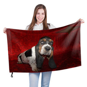 Флаг 3D с принтом Бассет-хаунд в Белгороде, 100% полиэстер | плотность ткани — 95 г/м2, размер — 67 х 109 см. Принт наносится с одной стороны | бархат | бассет хаунд | взгляд | домашнее | животное | порода | собака | уши