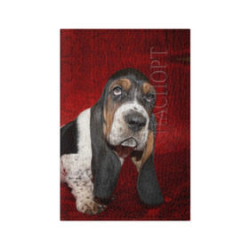 Обложка для паспорта матовая кожа с принтом Бассет-хаунд в Белгороде, натуральная матовая кожа | размер 19,3 х 13,7 см; прозрачные пластиковые крепления | бархат | бассет хаунд | взгляд | домашнее | животное | порода | собака | уши