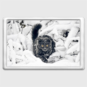 Магнит 45*70 с принтом Кот в снегу в Белгороде, Пластик | Размер: 78*52 мм; Размер печати: 70*45 | Тематика изображения на принте: ветки | дикий | домашнее | животное | зима | кот | котэ | кошка | снег | сугробы